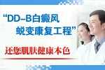 DD-B�����ɱ俵������