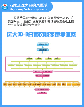Զ��DD-B�����ɱ俵�����̿�����ϵ