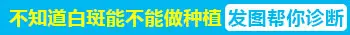 白癜风可以手术治疗吗 哪家医院能治好白癜风