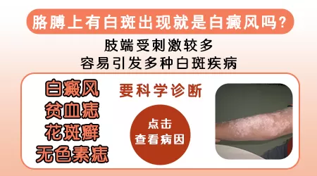 胳膊上有小白点图片 皮肤白点是怎么回事