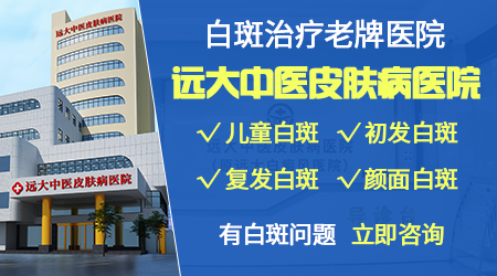 郸城白殿风研究所地点在哪里