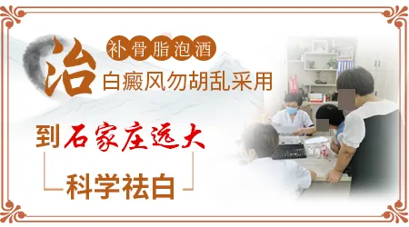 补骨脂泡酒治疗白癜风真的有效吗