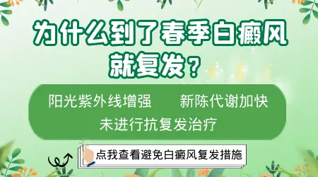 一到春天白癜风就复发是什么原因