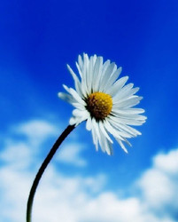 男性白癜风传染性强吗