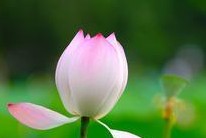 面部白癜风的影响不治疗有多大