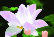 白癜风治疗过程中扩散是怎么回事