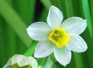 儿童白癜风发病前有哪些症状、预兆