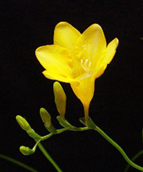 白癜风患者如何进行心理疏导