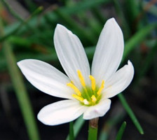 老年白癜风患者都会出现的症状