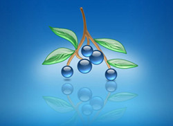 皮肤上有白点是白癜风吗