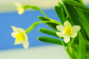 局限性白癜风如何护理