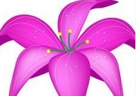 白癜风经期如何护理