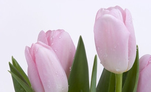 老年白癜风可以晒太阳吗