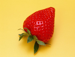 老人为什么会得白癜风