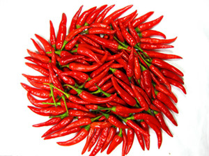 哪些部位白癜风容易发生形同反应