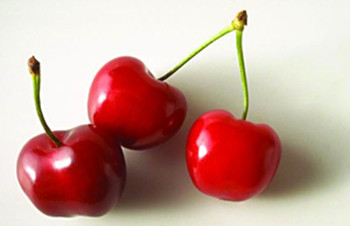 白癜风与遗传的关系