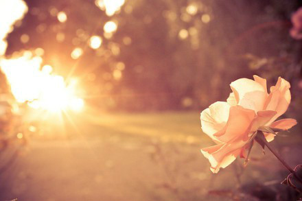 什么导致白癜风患者晨练后体质变差?