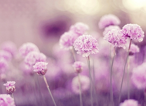 白癜风冬天中止治疗好不好