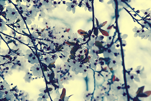 新华网：专家解读：冬季白癜风治疗正当时