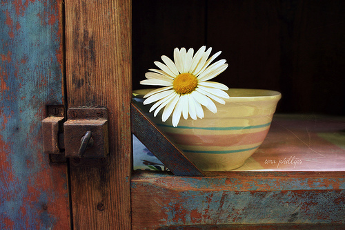 得了白癜风会发展全身吗