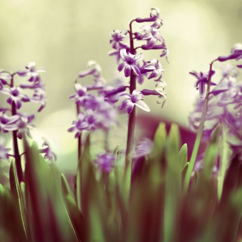 白癜风初期怎么治疗效果好