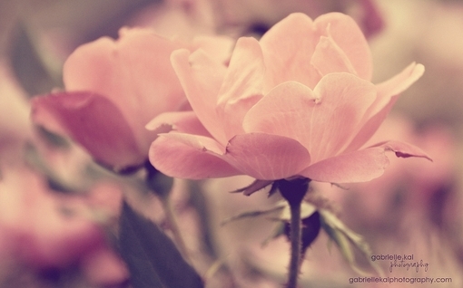 早期白癜风怎么治疗效果好