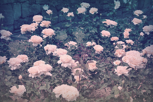 白癜风有哪些危害?专家作答