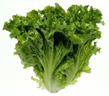 得了白癜风患者能不能吃莴苣