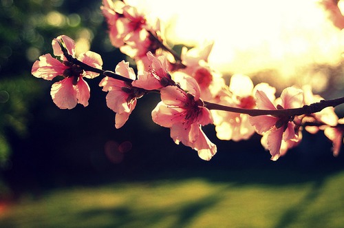 白癜风高发季节是什么时候