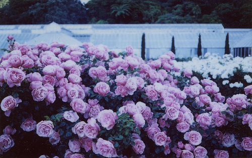 春季白癜风预防护理需注意哪些