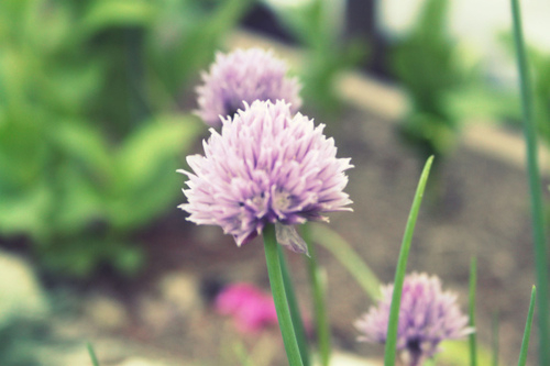 夏天白癜风怎么预防