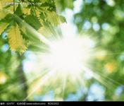 夏季怎样增强白癜风防患