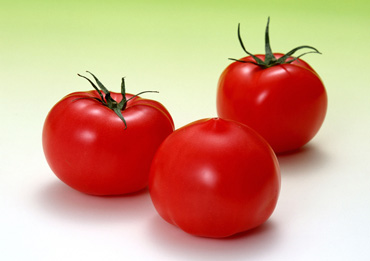 石家庄引起白癜风病因有哪些