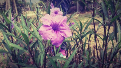 从哪些方面正确识别白癜风