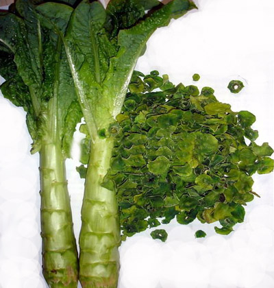 得了白癜风补铜有没有用