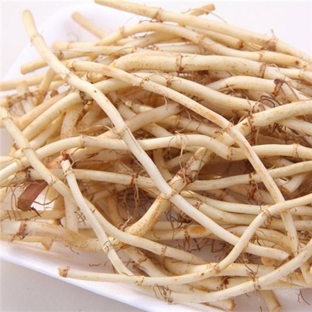 鱼腥草可以治疗白癜风?