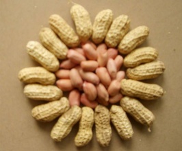 都挺好!白癜风患者多吃这一物，大大促进白癜风康复