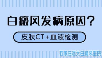 手上脸上都有白点是什么原因