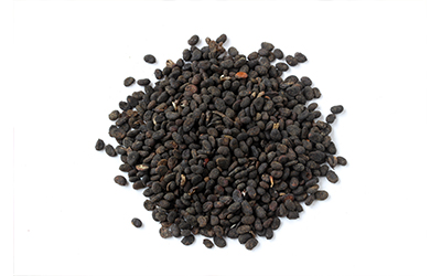 用补骨脂泡酒擦白癜风多久见效