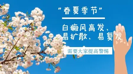 如何避免白斑春季扩散