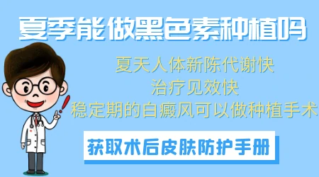 夏天能不能做白癜风黑色素种植