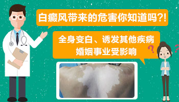 鼻头的皮肤比其他地方比较白