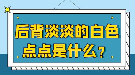 整个后背出现淡淡白点是什么