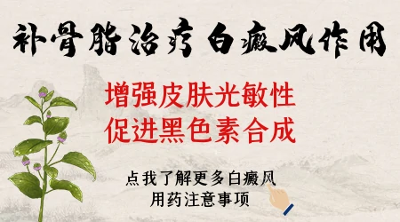 补骨脂治疗白癜风的真实恢复案例