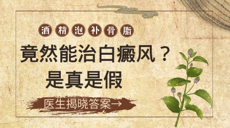 补骨脂泡酒对肢端型白癜风作用大不大