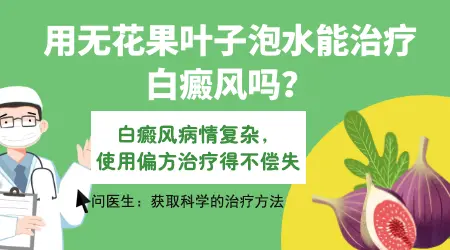 无花果叶子擦白癜风是偏方吗