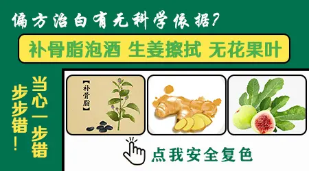 无花果叶和补骨脂泡酒哪个治白癜风好