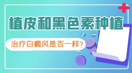白癜风植皮和黑色素移植手术有什么区别