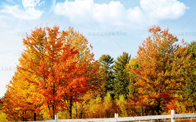 白癜风长在看不见的地方需要治疗吗