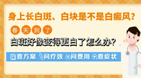 皮肤有白色斑块的图片